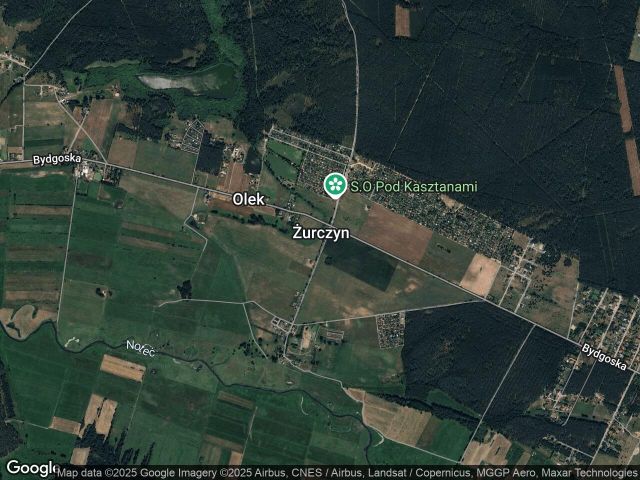 Działka rekreacyjna Żurczyn. Zdjęcie 1
