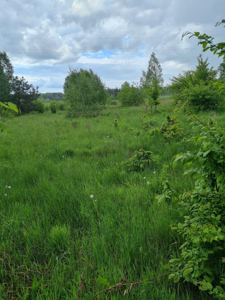 Działka budowlana Dęba-Kolonia. Zdjęcie 5