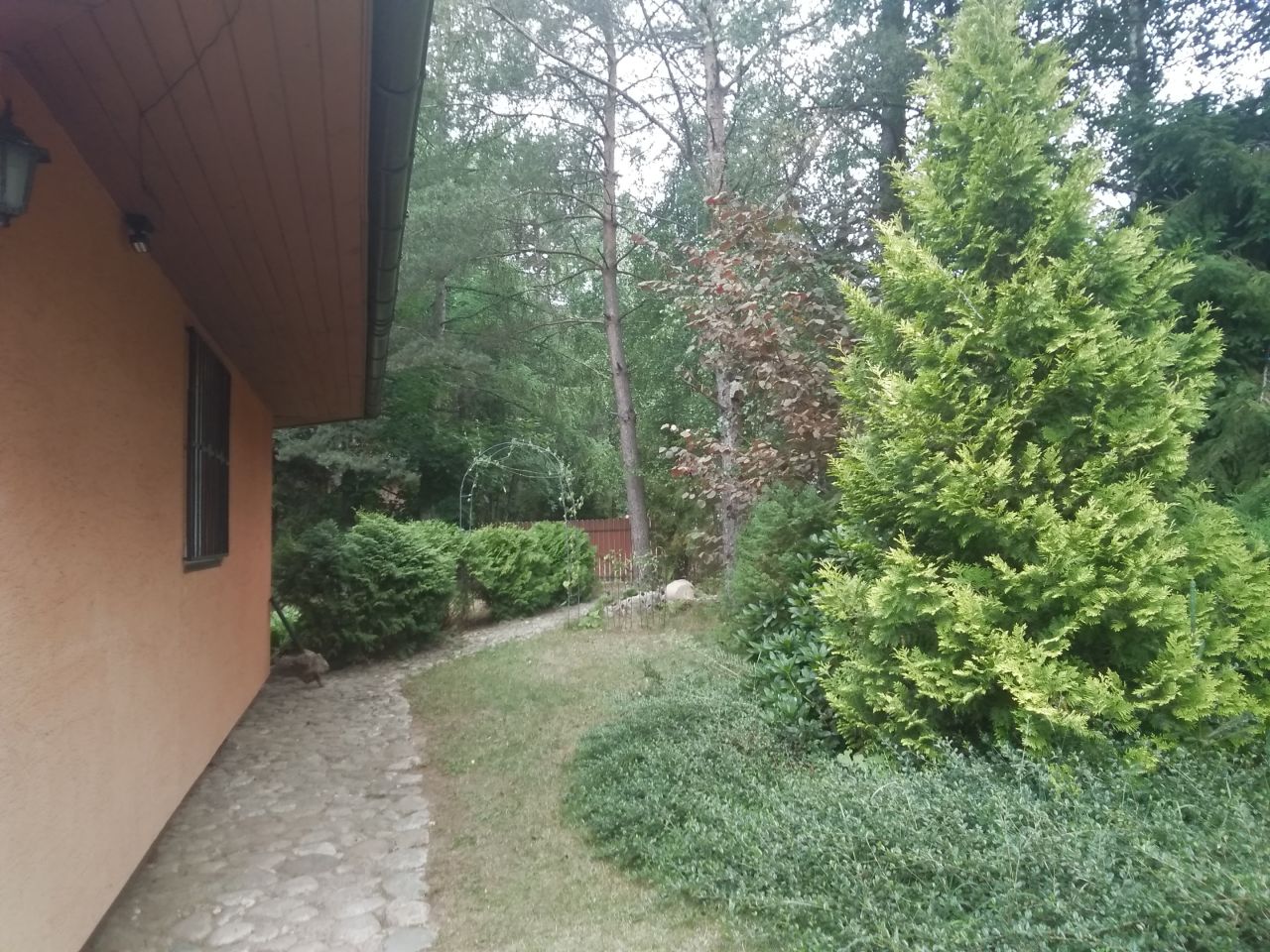 dom wolnostojący, 6 pokoi Skorzewo, W