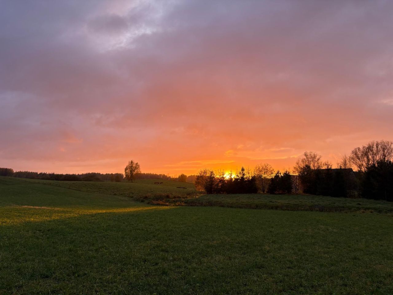 Działka siedliskowa Iwaniszki. Zdjęcie 7