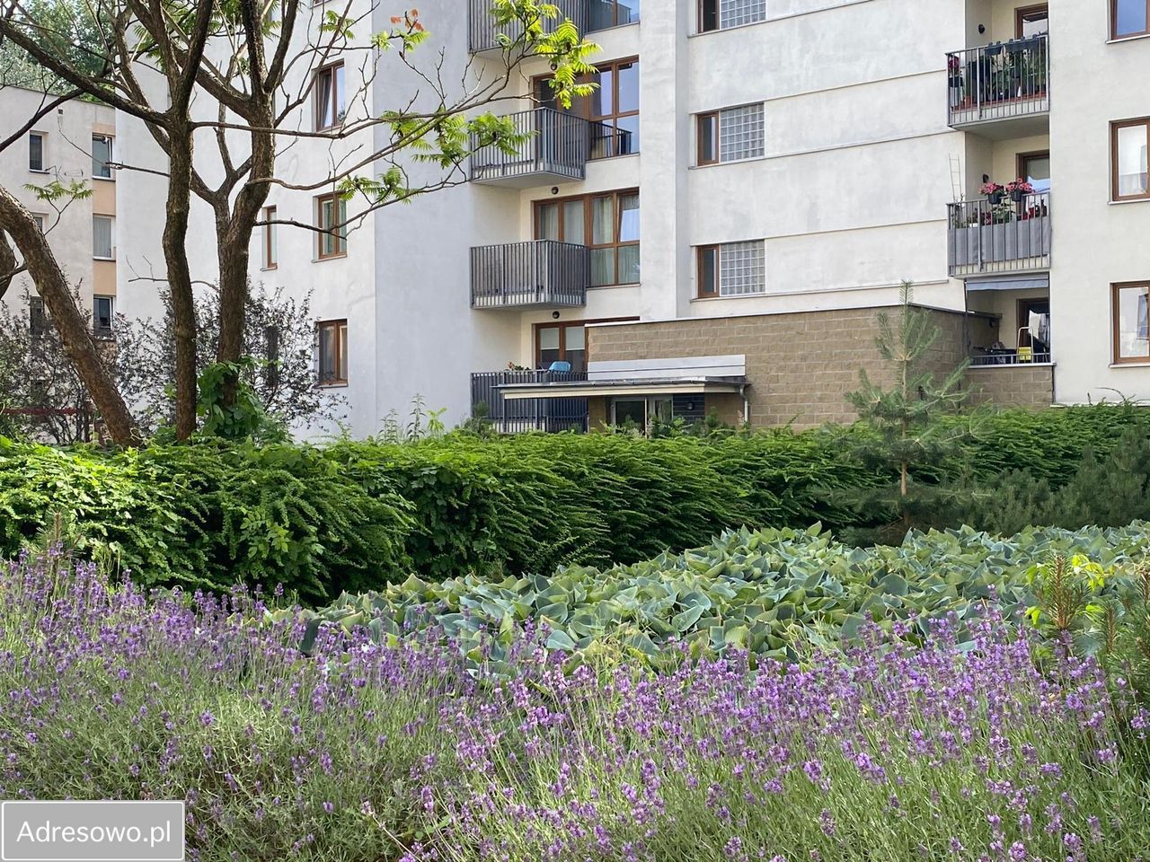 Mieszkanie 2-pokojowe Warszawa Saska Kępa, ul. Zwycięzców. Zdjęcie 19