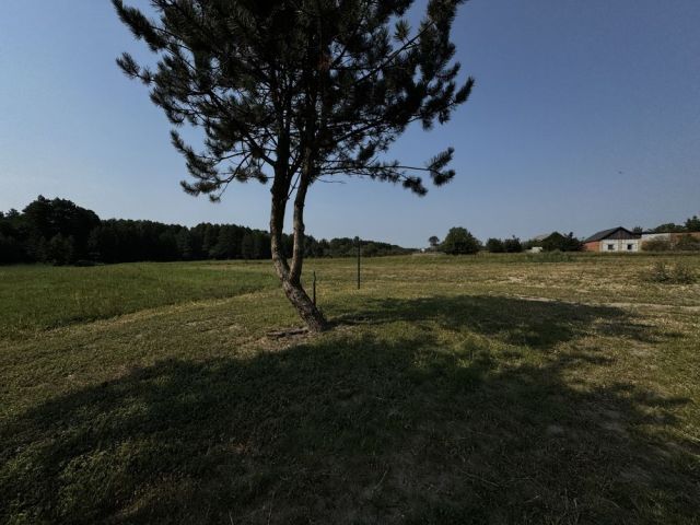 Działka rolno-budowlana Wiechnowice. Zdjęcie 1