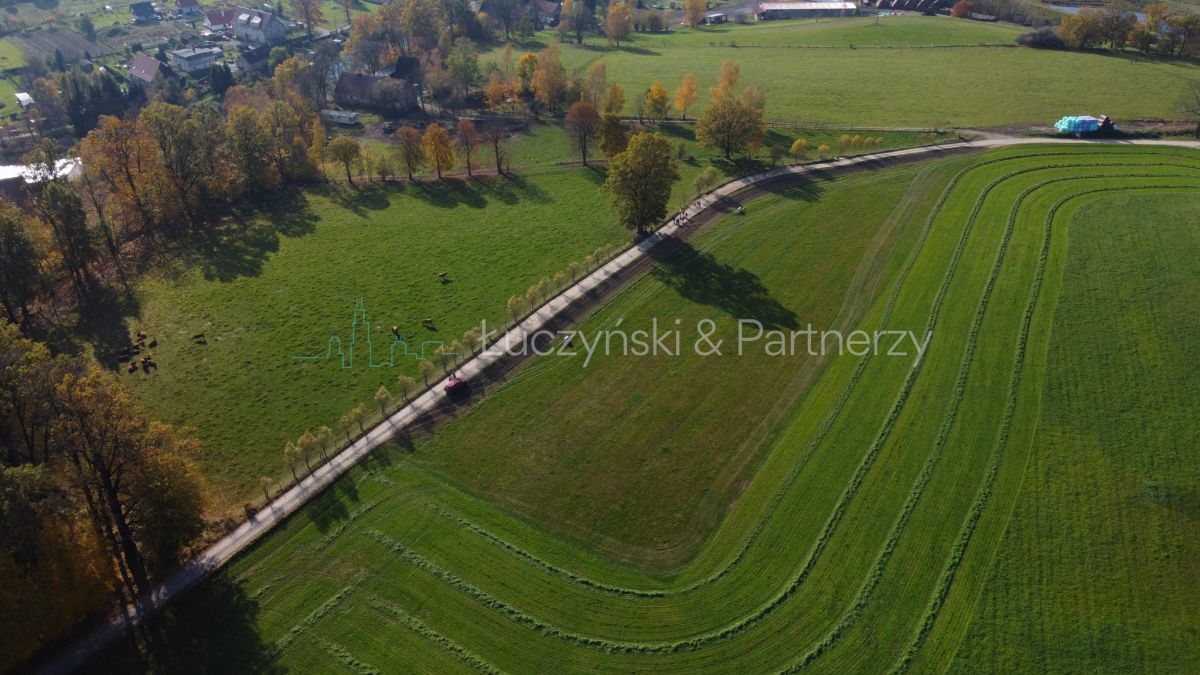 Działka budowlana Janowice Wielkie. Zdjęcie 3