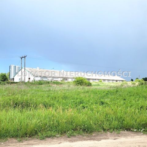 Hala/magazyn Rutwica. Zdjęcie 15