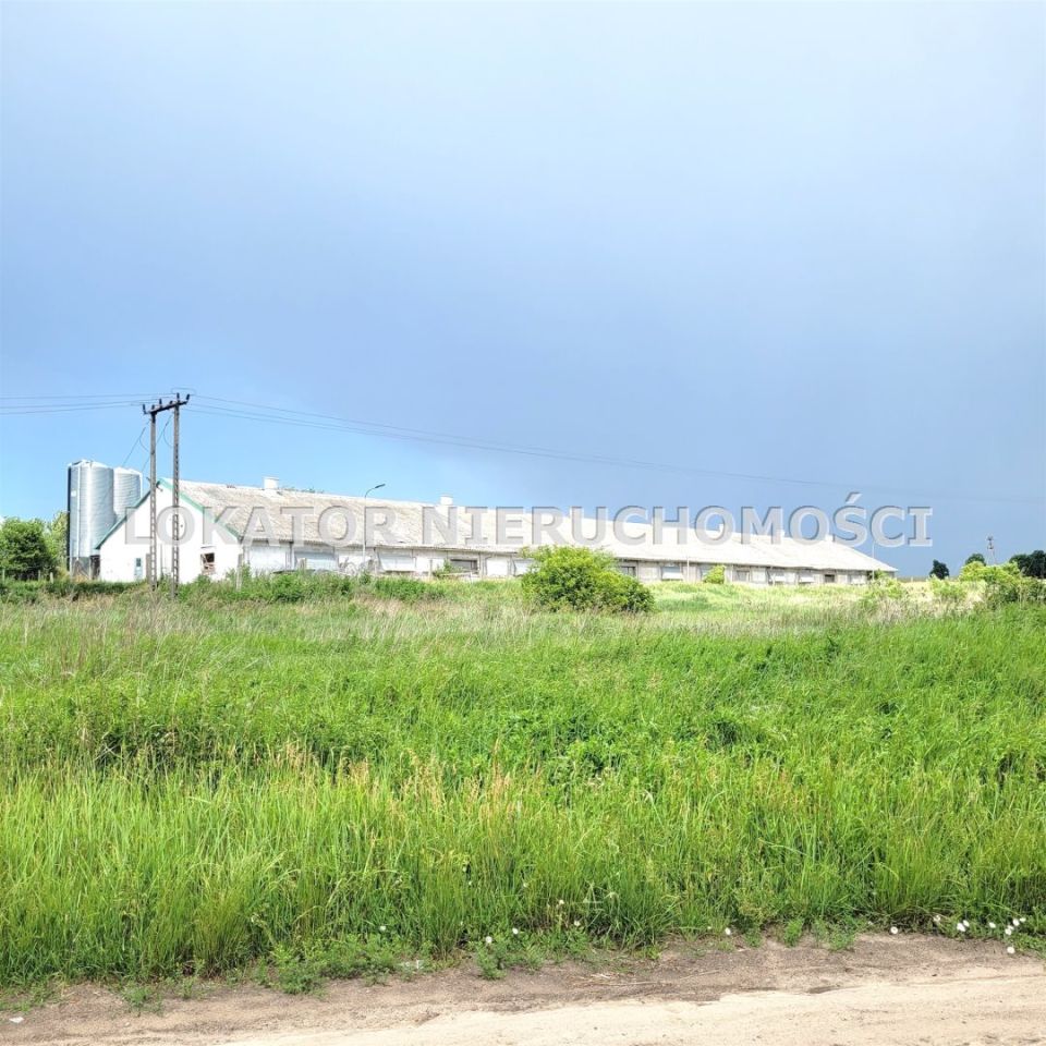 Hala/magazyn Rutwica. Zdjęcie 15