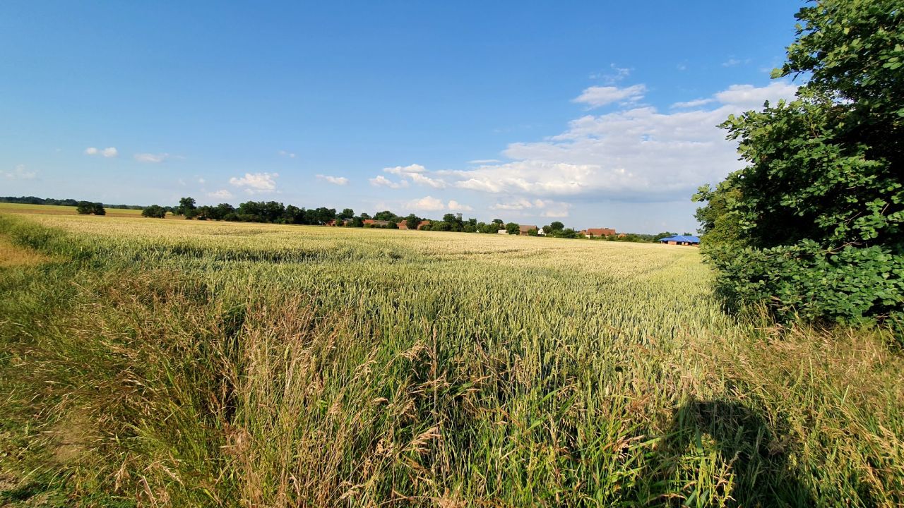 Działka budowlana Objazda. Zdjęcie 8