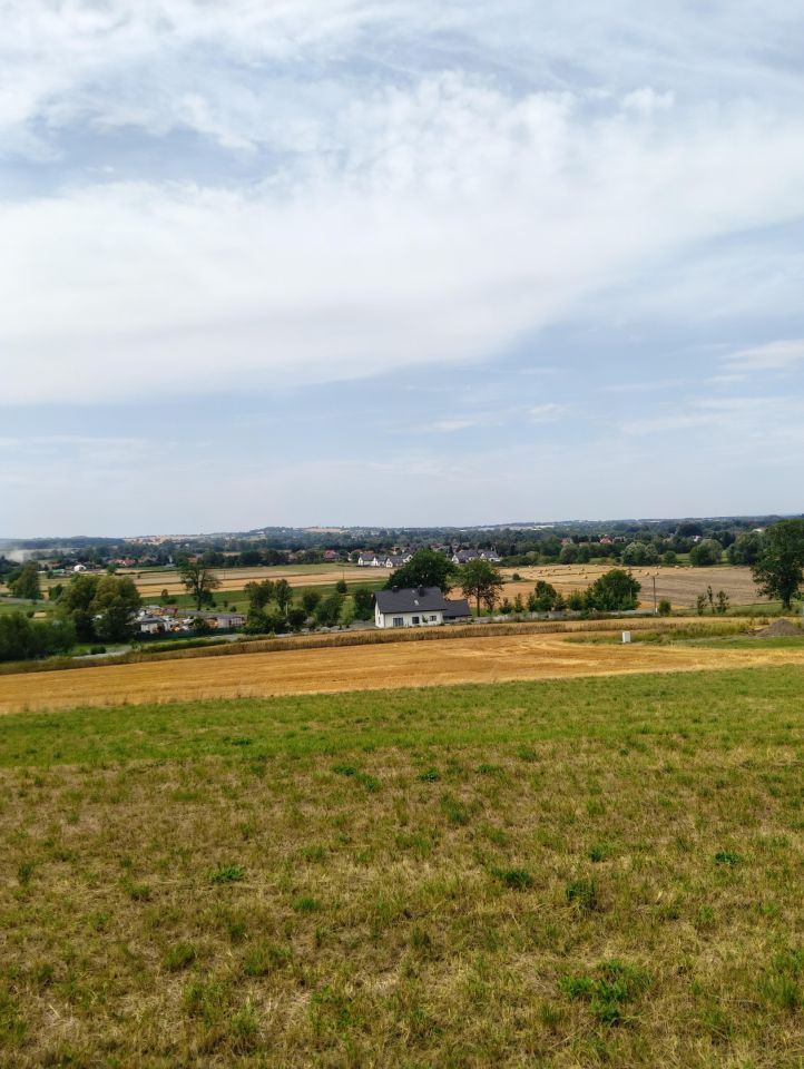 Działka siedliskowa Gierczyce Niwa, Gierczyce. Zdjęcie 8
