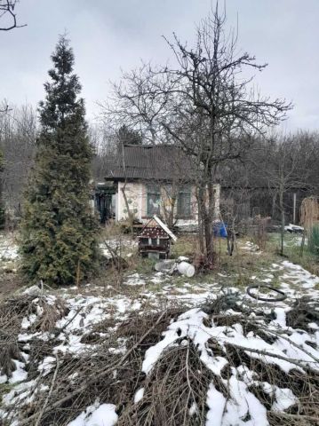 Działka rod Zdzieszowice. Zdjęcie 1