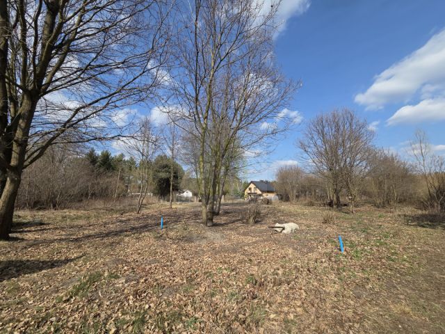 Działka budowlana Międzyborów. Zdjęcie 9