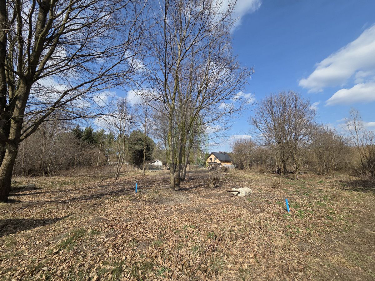 Działka budowlana Międzyborów. Zdjęcie 9