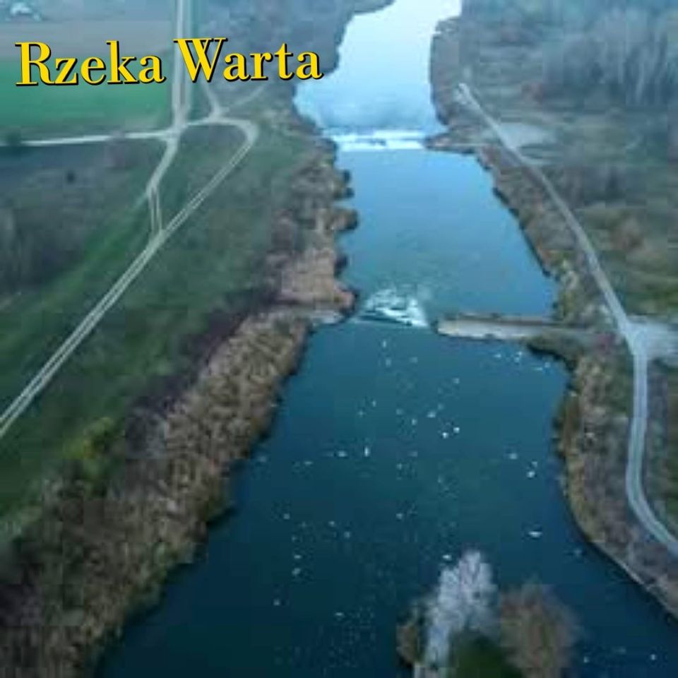 Działka rekreacyjna Skęczniew. Zdjęcie 6