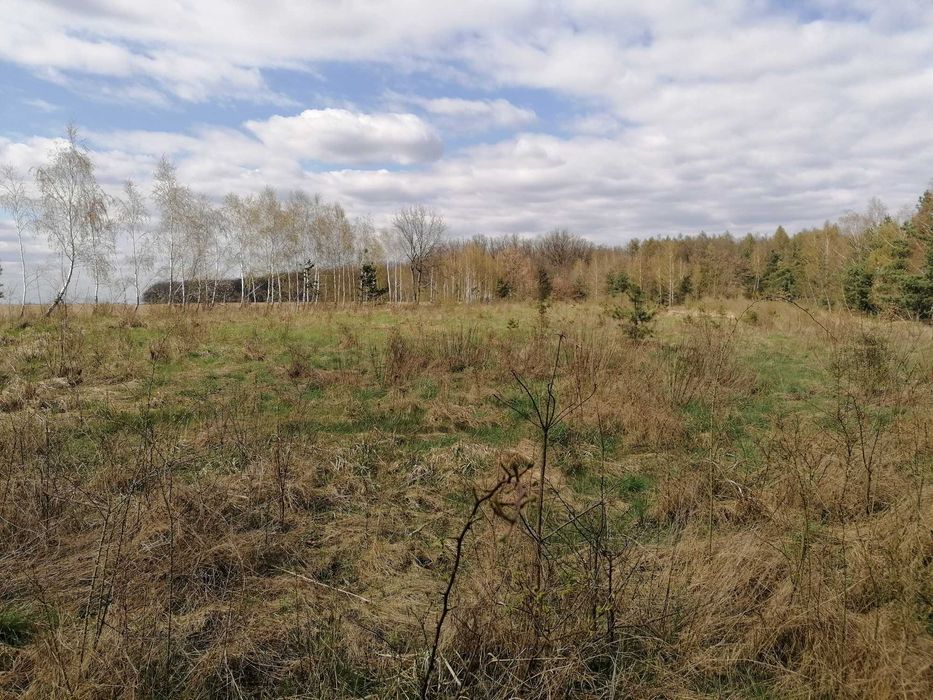 Działka rolna Karnkowo. Zdjęcie 6