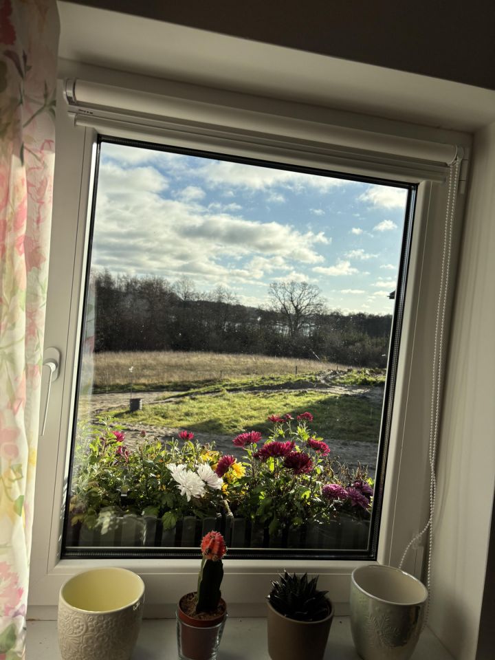 dom wolnostojący, 4 pokoje Żółte. Zdjęcie 22