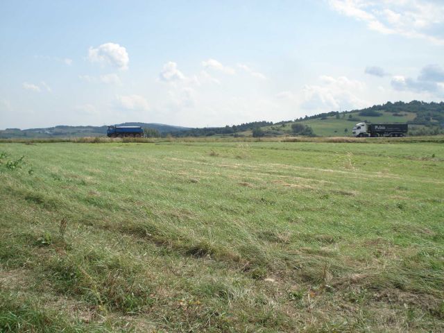 Działka rolna Rogi. Zdjęcie 1