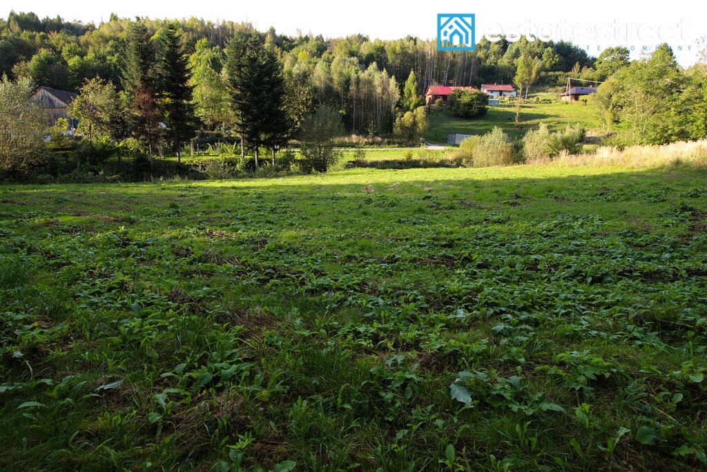 Działka rekreacyjna Drohobyczka. Zdjęcie 4