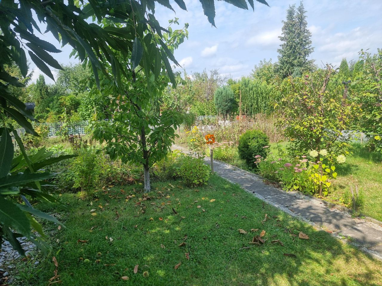 Działka rod Świdnica, ul. Tenisowa. Zdjęcie 3