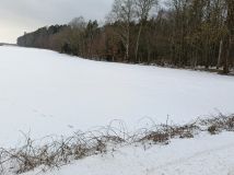 Działka budowlana Bysławek. Zdjęcie 4