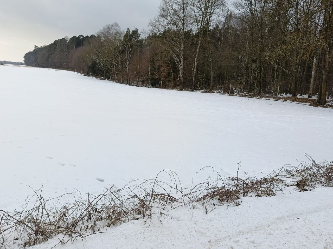 Działka budowlana Bysławek. Zdjęcie 5