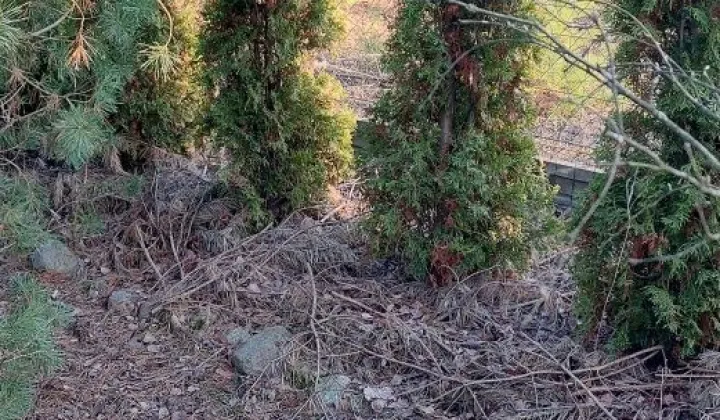 Działka budowlana Bożenkowo