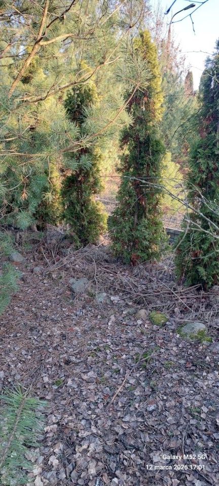 Działka budowlana Bożenkowo. Zdjęcie 1