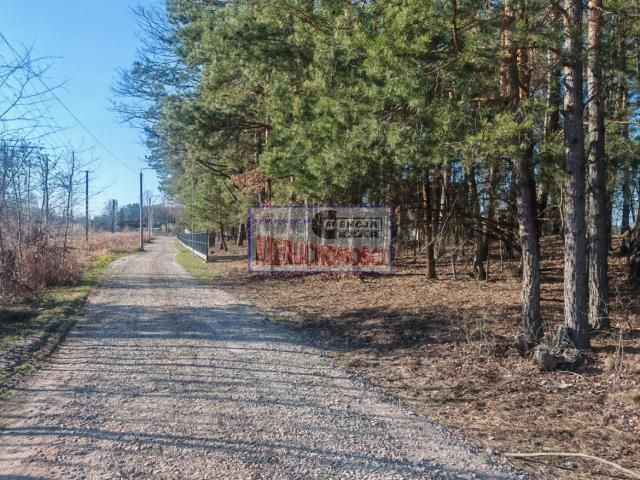 Działka budowlana Kąck, ul. Leśna. Zdjęcie 7