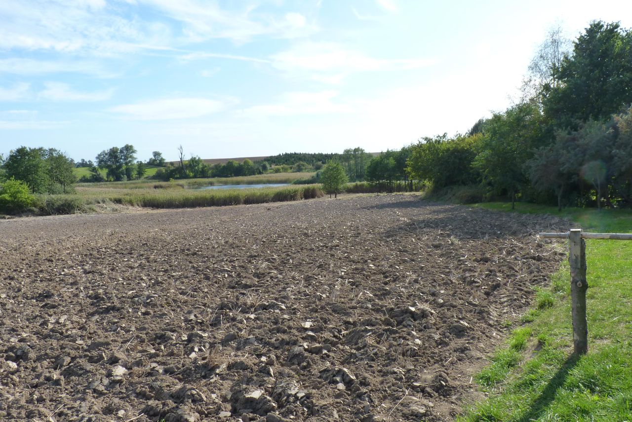 Działka rolna Zieleniewo. Zdjęcie 14