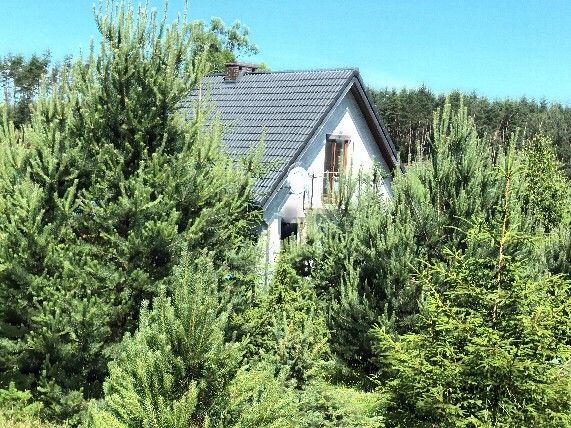 dom wolnostojący, 4 pokoje Wyrówno. Zdjęcie 5