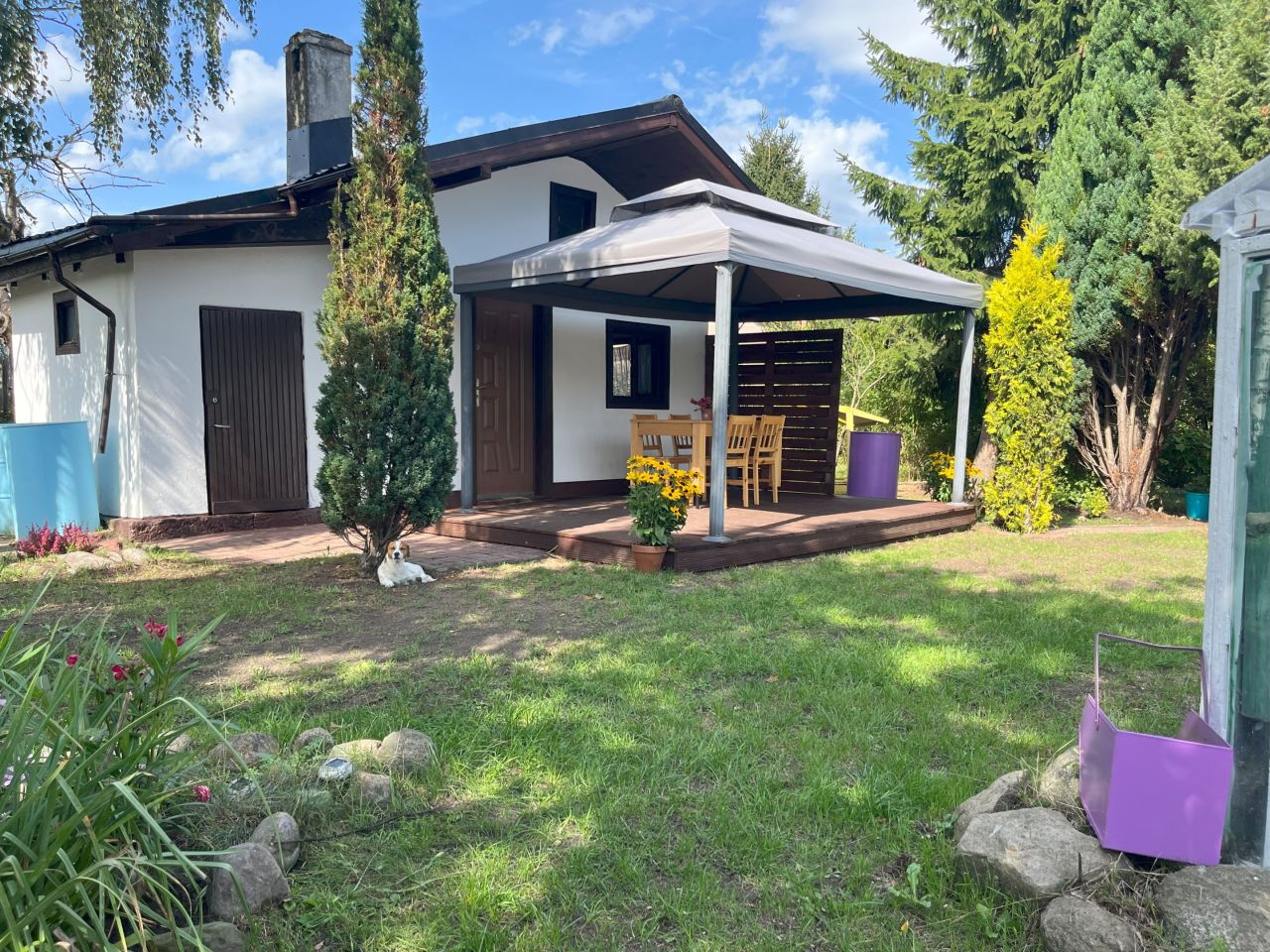 Działka rod Szczecin Pomorzany, ul. Przy Ogrodach. Zdjęcie 3