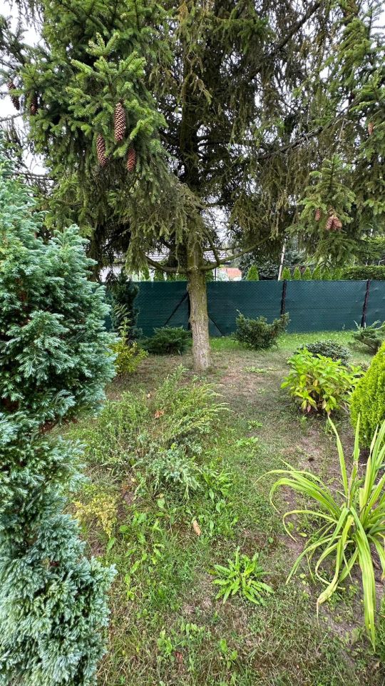 Działka budowlana Świerczyna. Zdjęcie 34