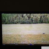 Działka siedliskowa Kałduny. Zdjęcie 1