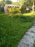 Działka rod Łódź Śródmieście, ul. Drewnowska. Zdjęcie 3