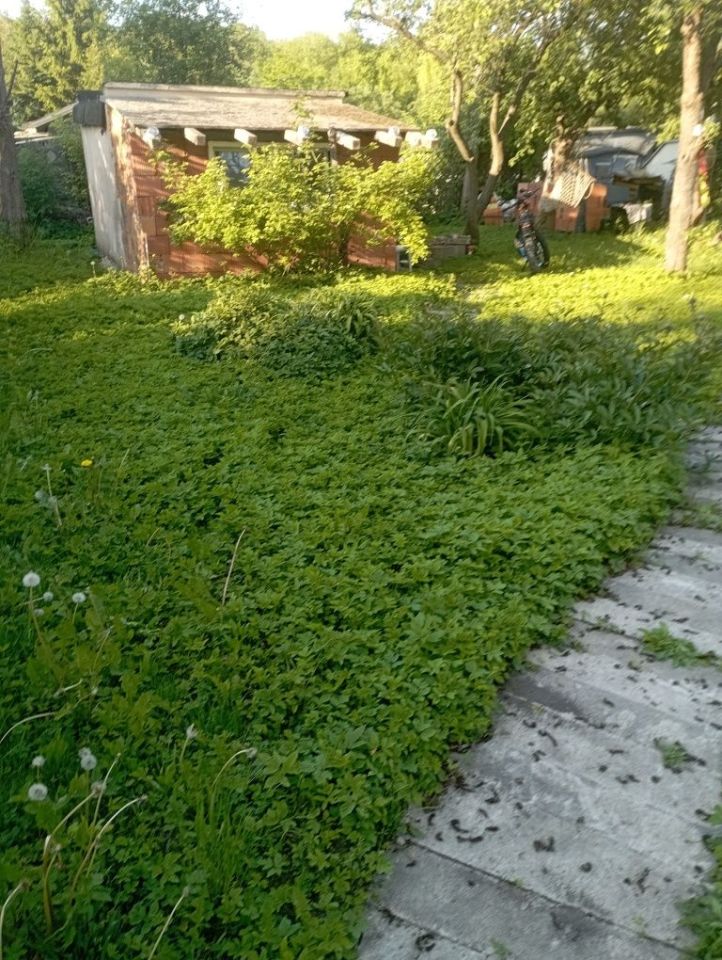 Działka rod Łódź Śródmieście, ul. Drewnowska. Zdjęcie 4