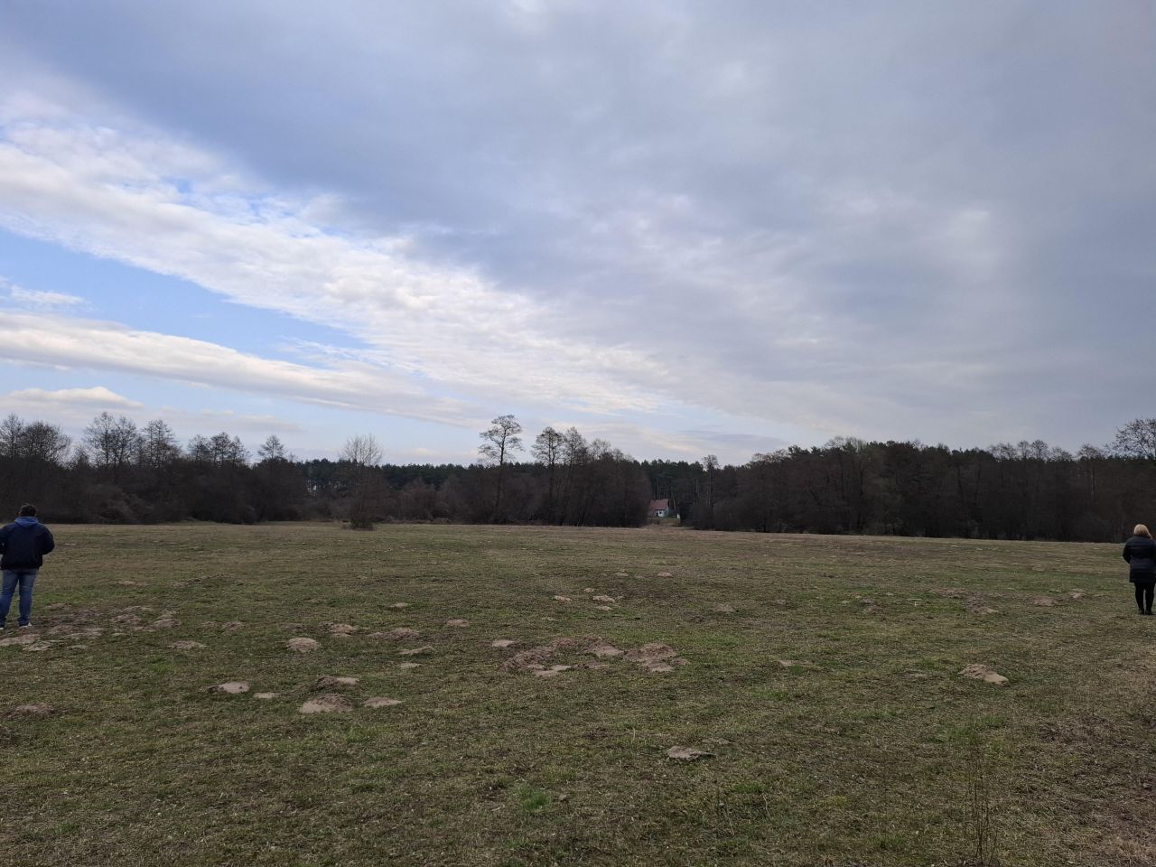 Działka rolna Krajęczyn. Zdjęcie 2