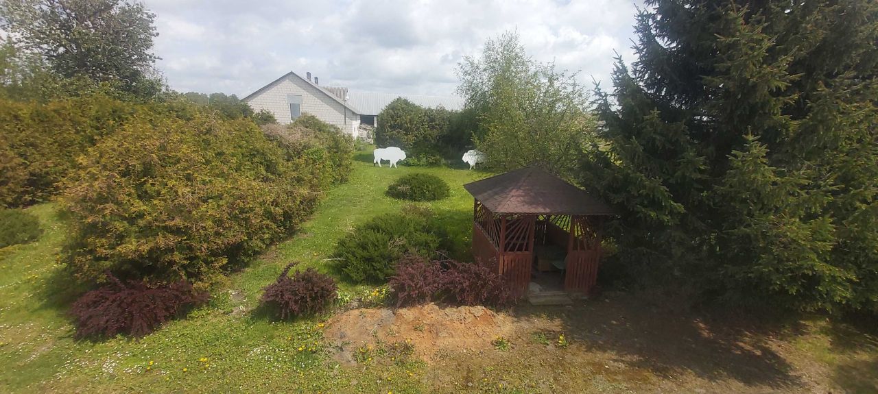 siedlisko Lubieszcze. Zdjęcie 4