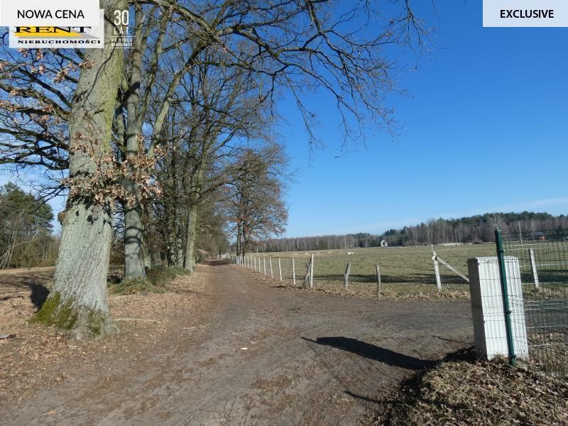 Działka budowlana Krzywice. Zdjęcie 8