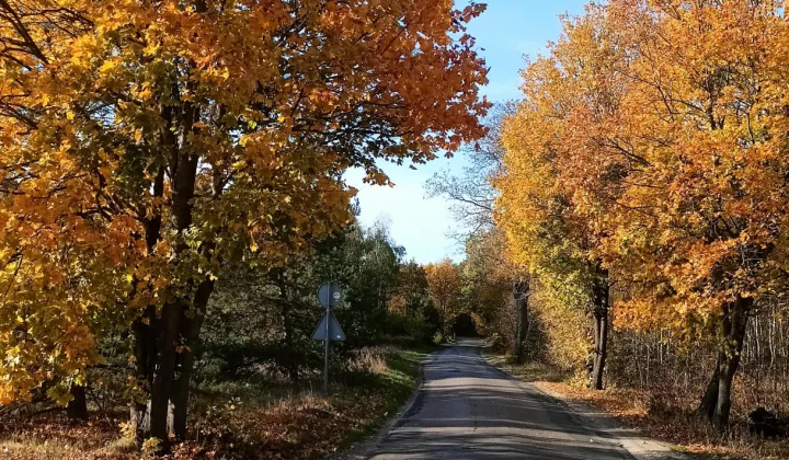 Działka budowlana Czarne Błoto, ul. Turystyczna
