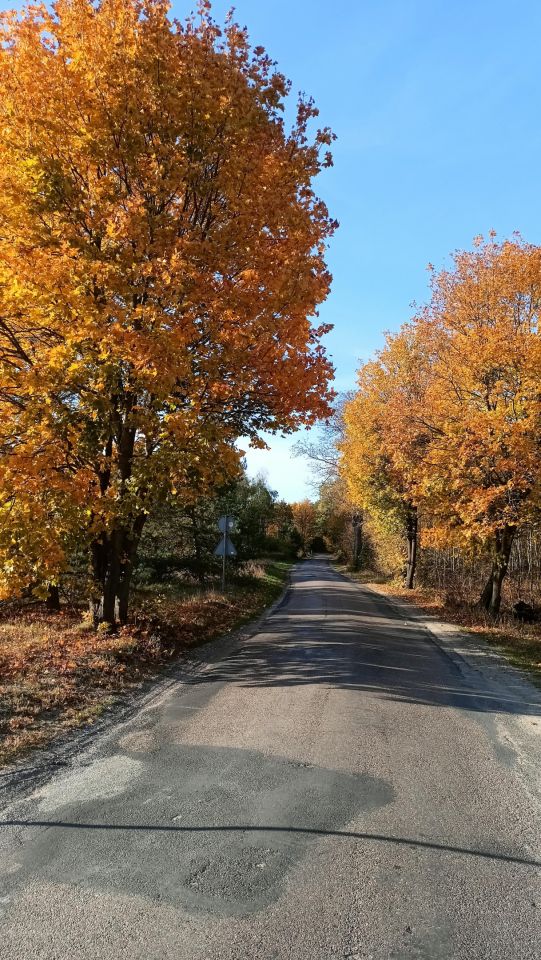 Działka budowlana Czarne Błoto, ul. Turystyczna