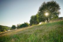 Działka budowlana Jaworzynka Małysze. Zdjęcie 1