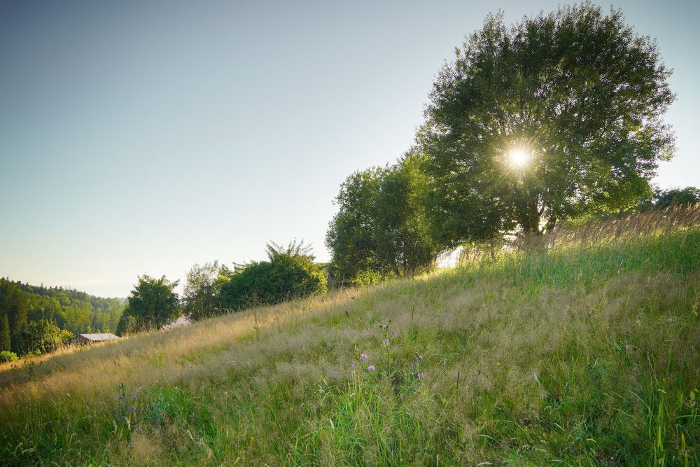Działka budowlana Jaworzynka Małysze. Zdjęcie 2