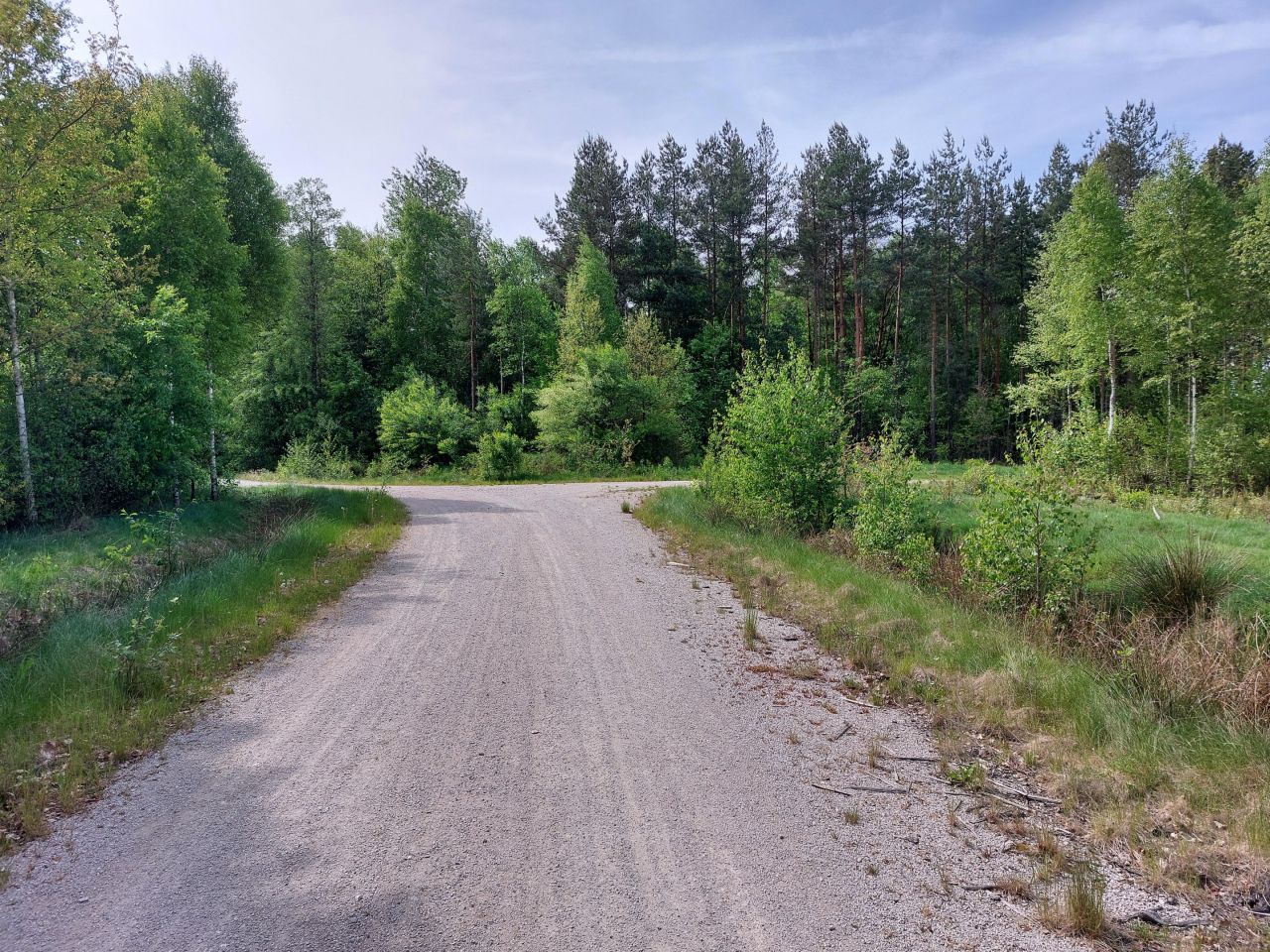 Działka rekreacyjna Starzechowice Sęp, BRAK. Zdjęcie 7