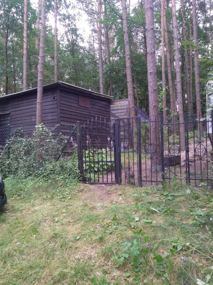 dom letniskowy Borowo. Zdjęcie 7