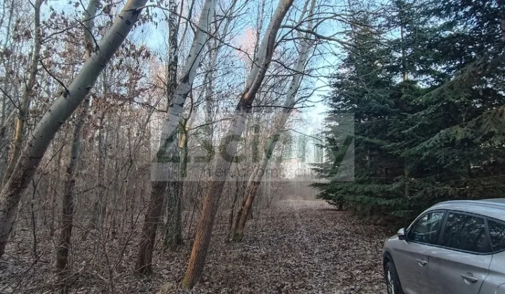 Działka budowlana Ojrzanów