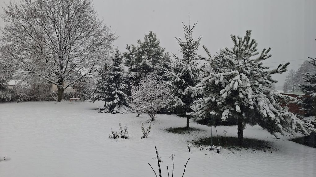 dom wolnostojący Słodków-Kolonia. Zdjęcie 6