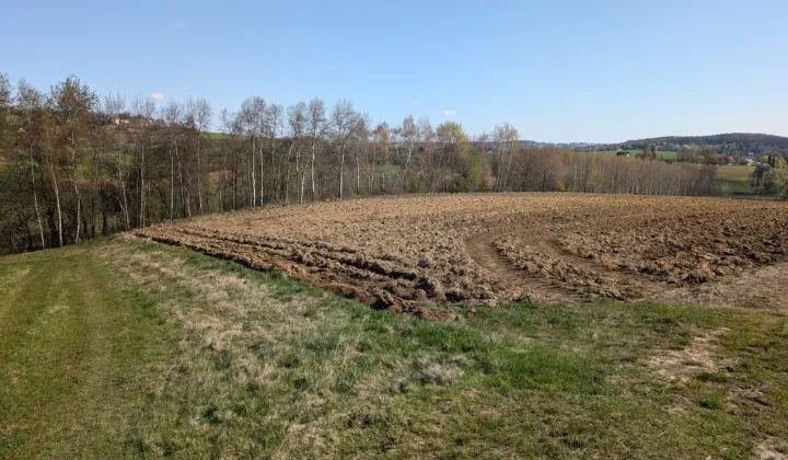 Działka budowlana Sławkowice Sosnówki, Sławkowice