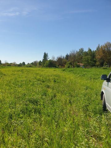 Działka rekreacyjna Zabierzów, ul. Nad Wodą. Zdjęcie 14