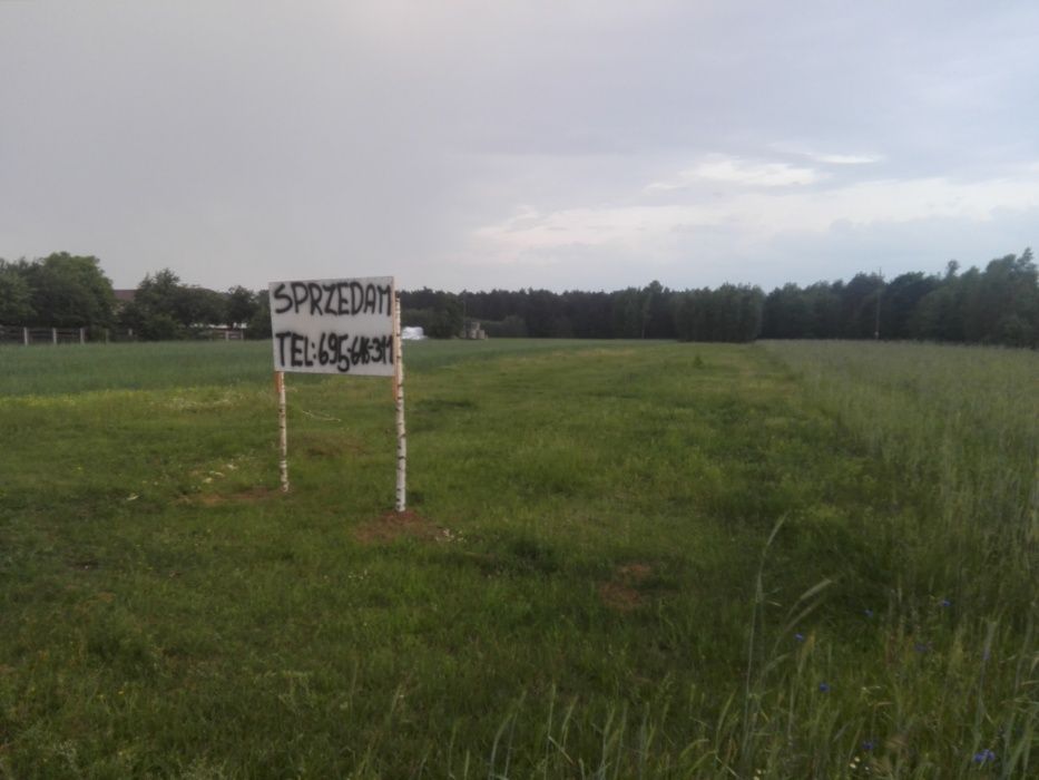 Działka rolno-budowlana Antoniów. Zdjęcie 3