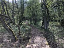 Działka siedliskowa Wierzchówko. Zdjęcie 4