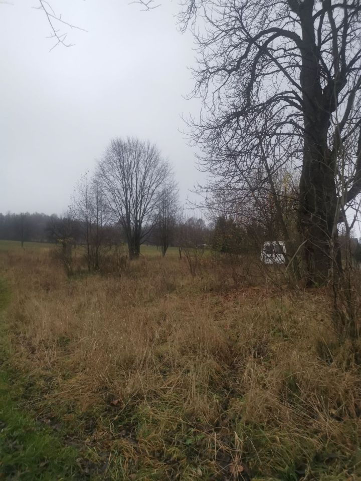 Działka rolno-budowlana Nowy Waliszów. Zdjęcie 2