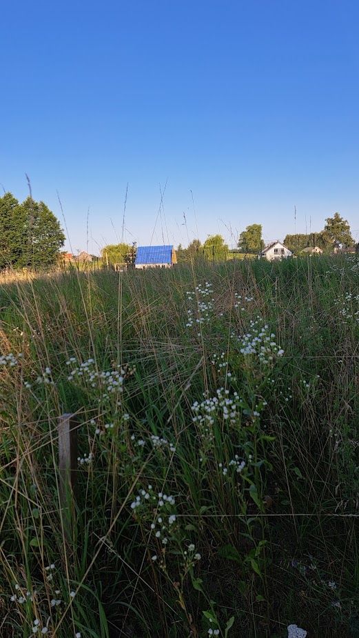 Działka budowlana Nowa Różanka. Zdjęcie 2