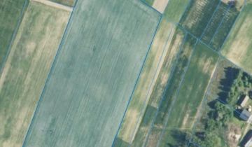 Działka rolna Trzciniec